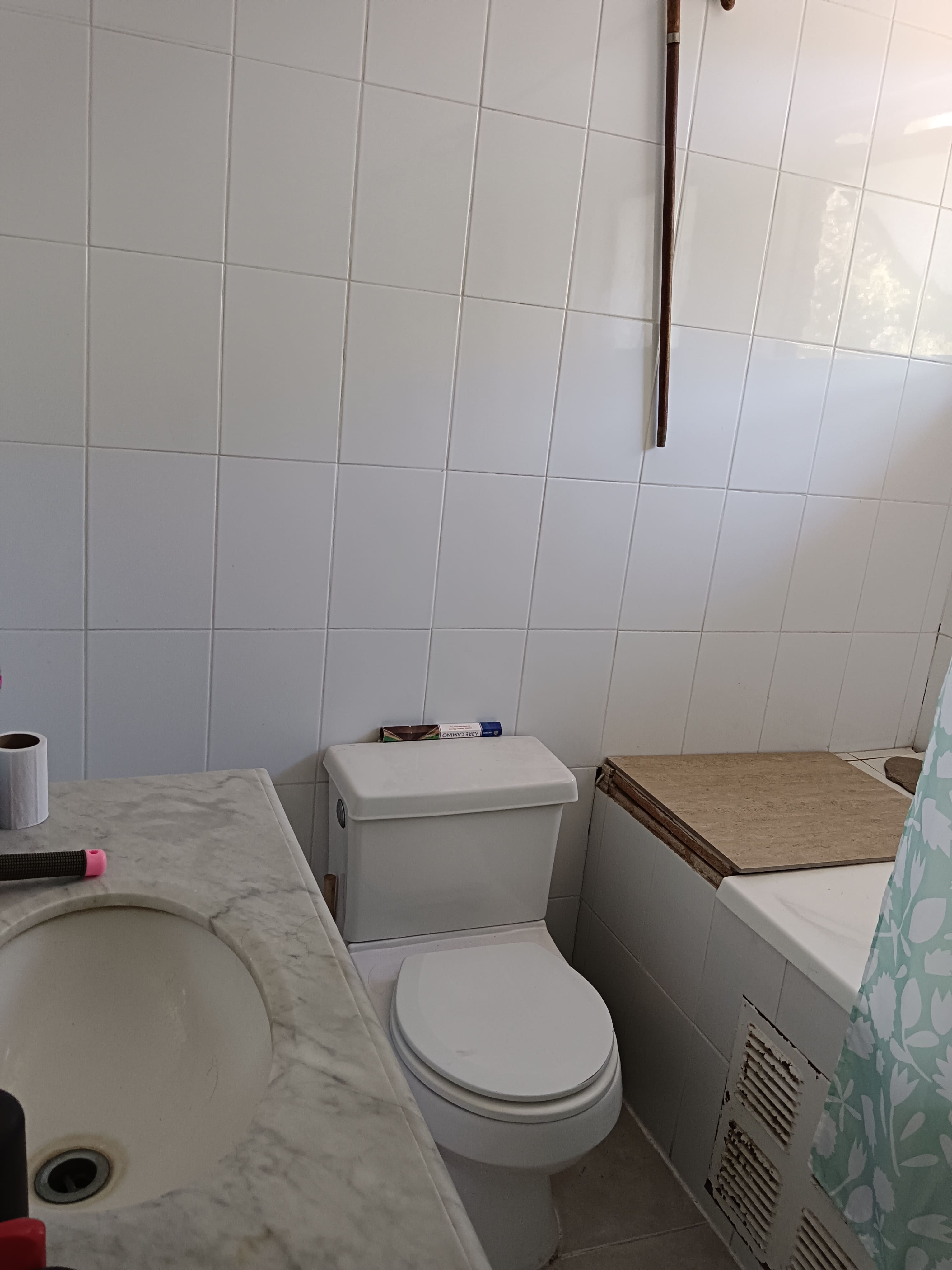 4 Habitaciones Habitaciones, 2 Habitaciones Habitaciones,4 BathroomsBathrooms,Terreno,En Venta,1125