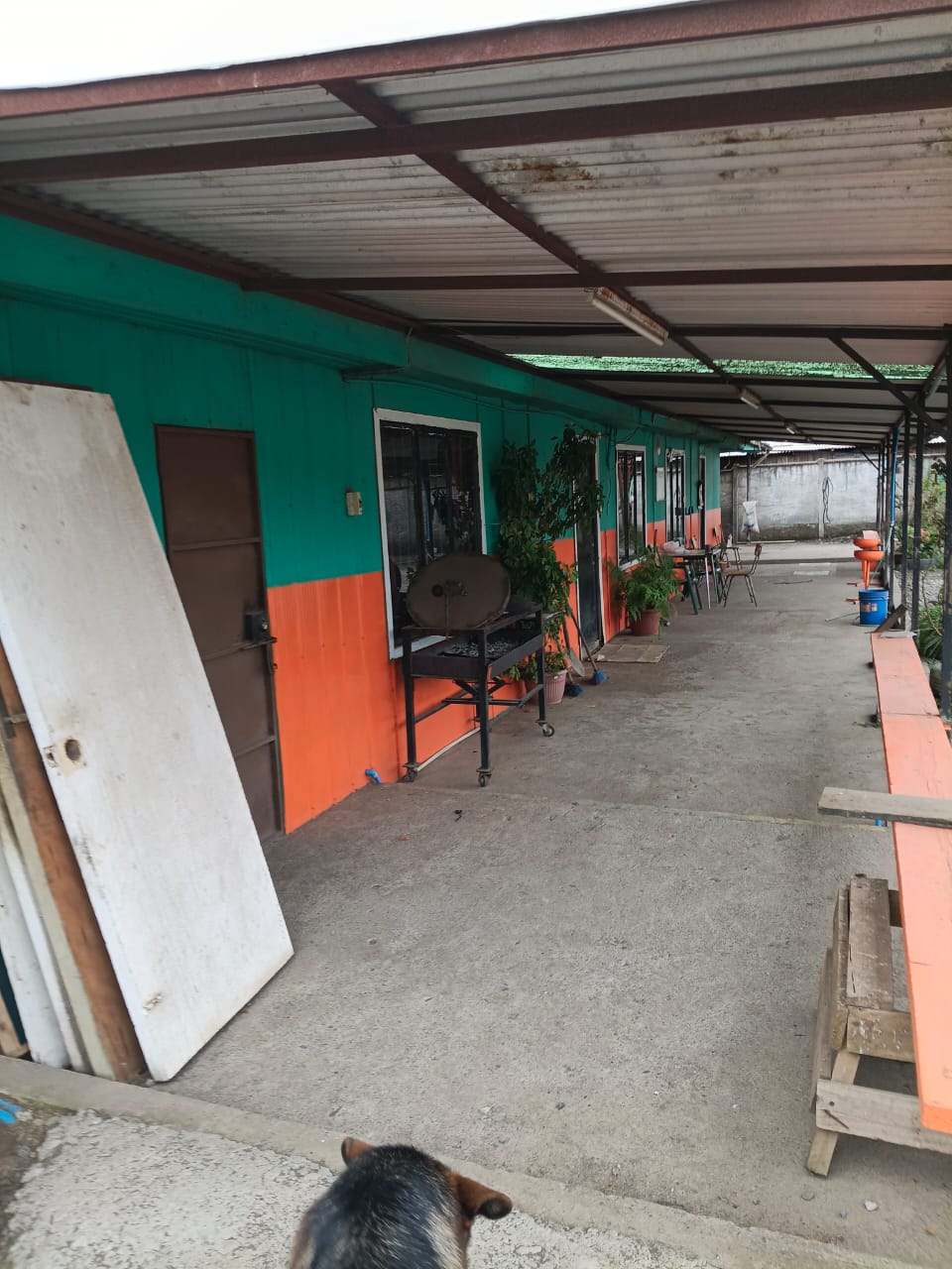 1 Dormitorio Habitaciones, 2 Habitaciones Habitaciones,2 BathroomsBathrooms,Terreno,En Venta,1151