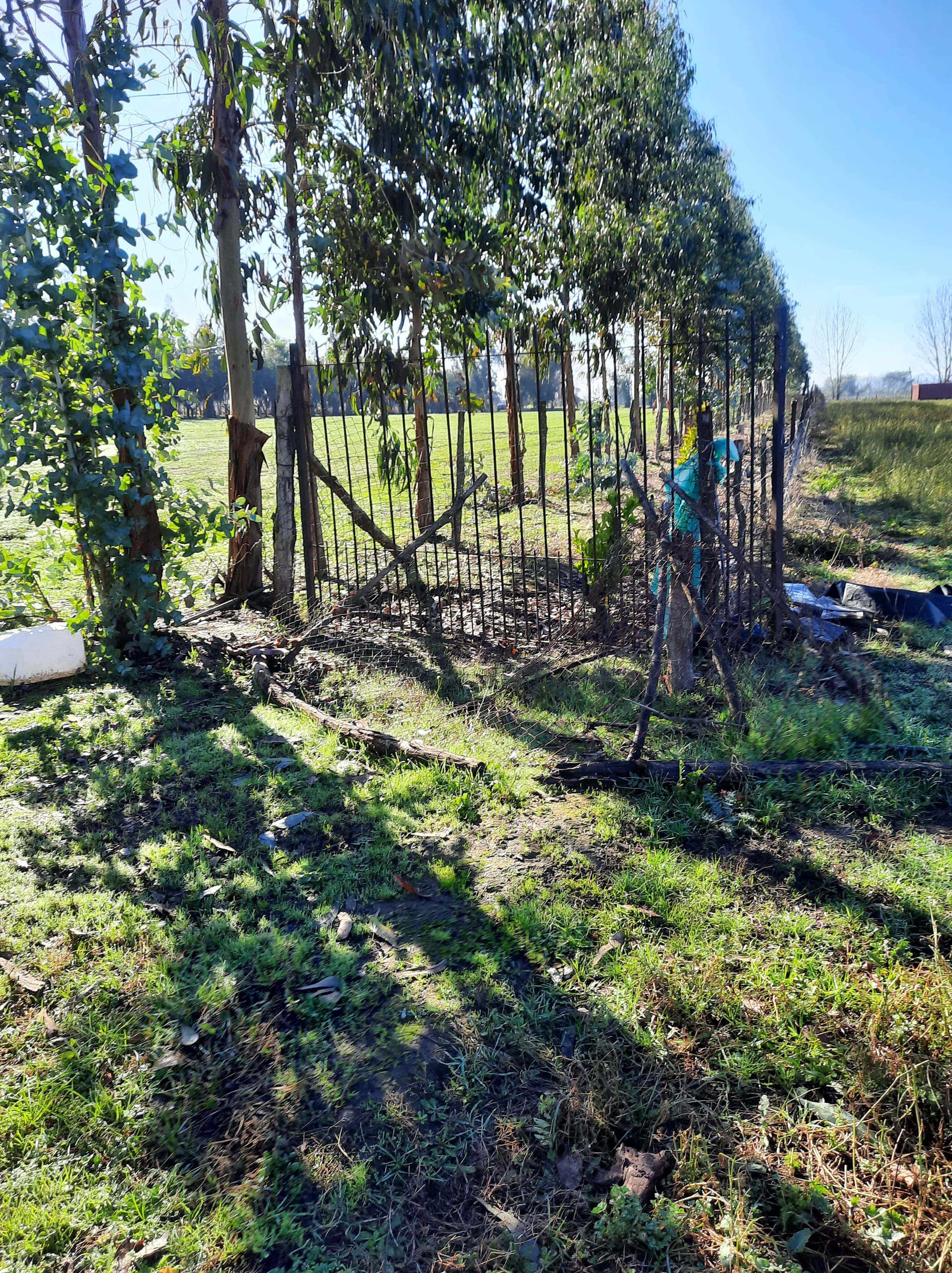 Linares, ,Terreno,En Venta,1027
